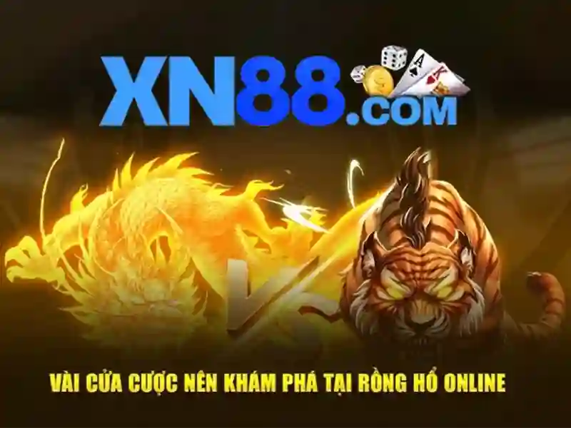 Hướng dẫn tham gia và trách nhiệm chơi