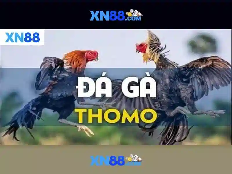 Khám phá xn88 và vai trò của nó trong cộng đồng game và công nghệ