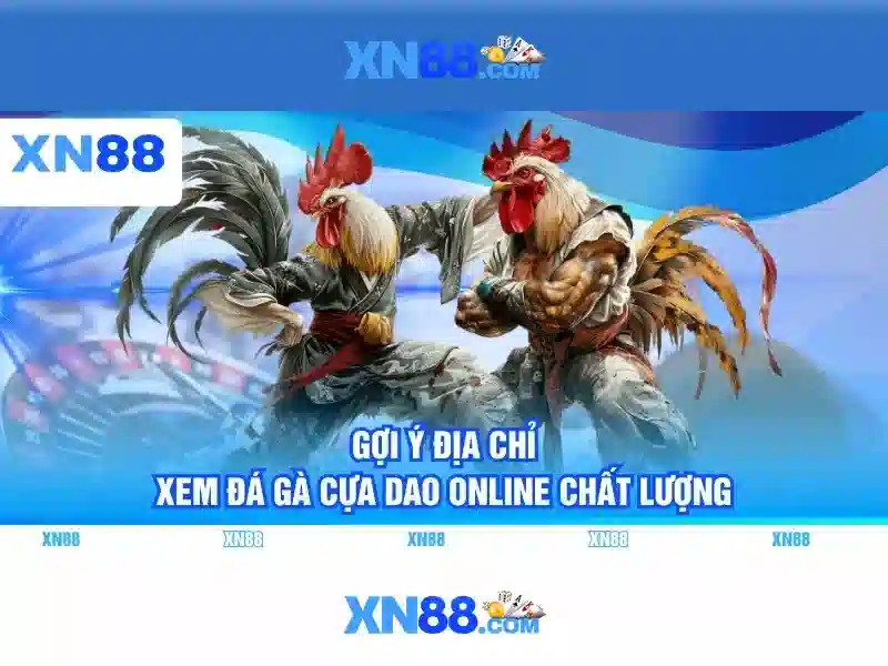 Các tính năng nổi bật của xn88 Các tính năng nổi bật của xn88