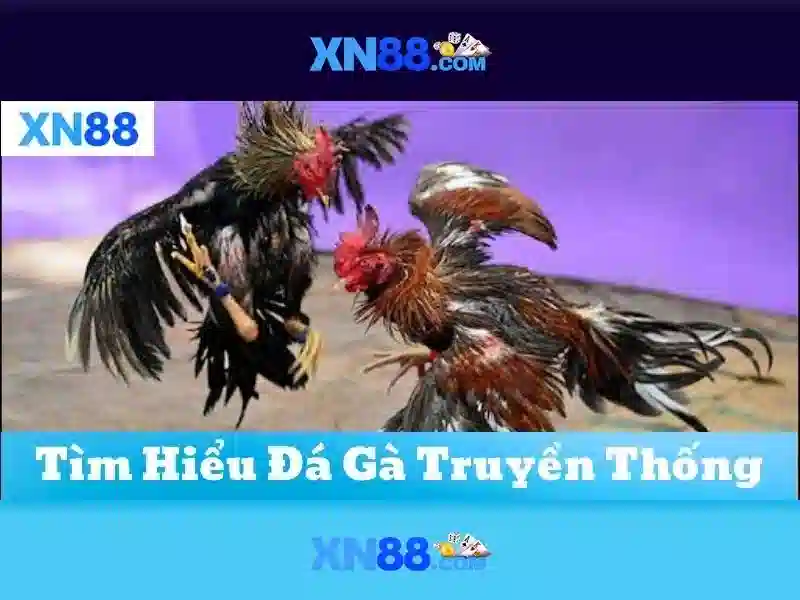 xn88: Tổng quan về nền tảng trò chơi trực tuyến và đánh giá an toàn