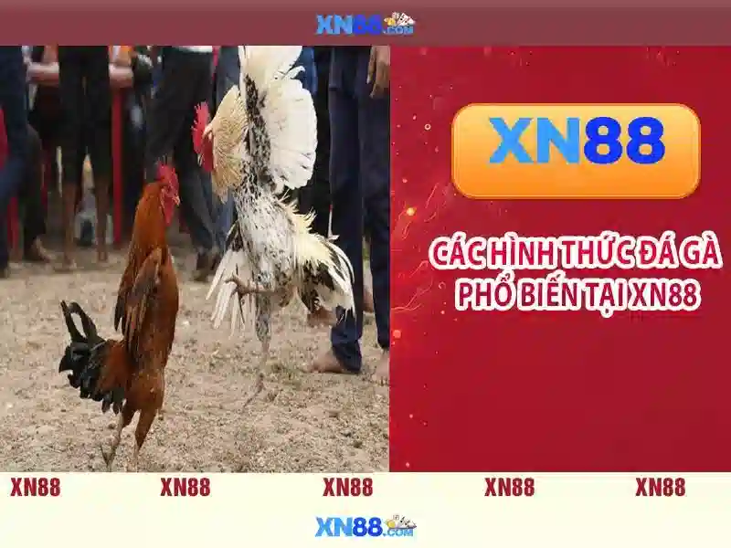 Lịch sử và nguồn gốc của xn88 Lịch sử và nguồn gốc của xn88