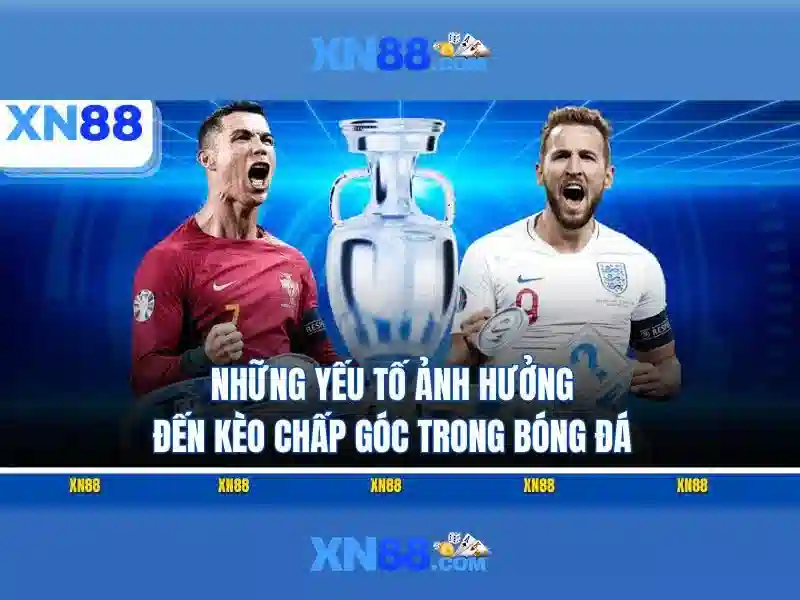 xn88 là gì?
