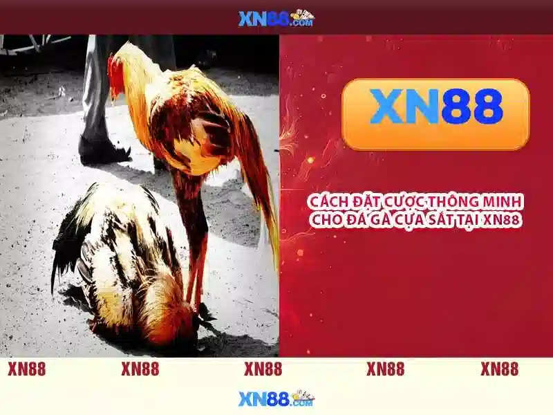 Chất lượng dịch vụ và bảo mật Chất lượng dịch vụ và bảo mật