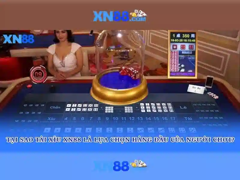 Kết luận Kết luận