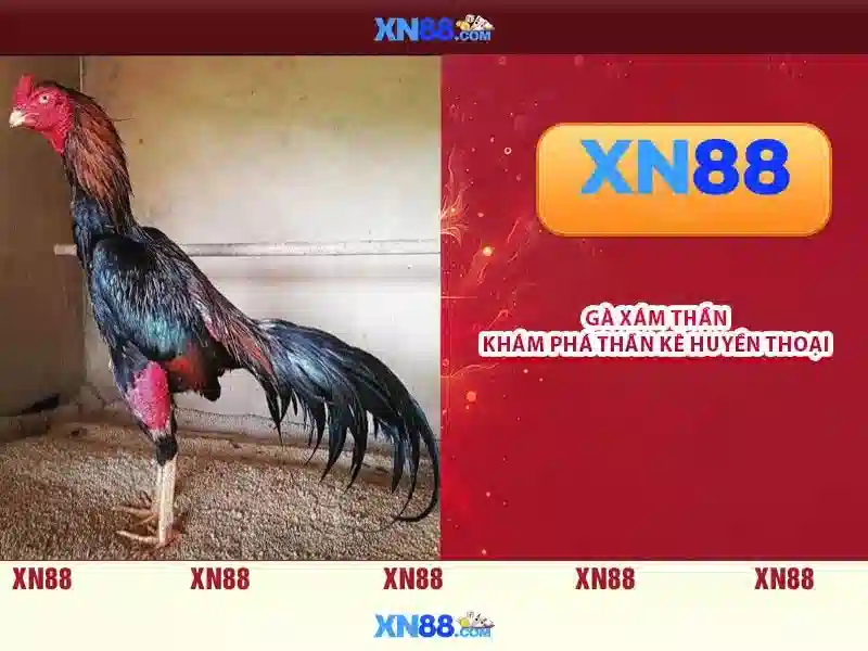 Sản phẩm và dịch vụ