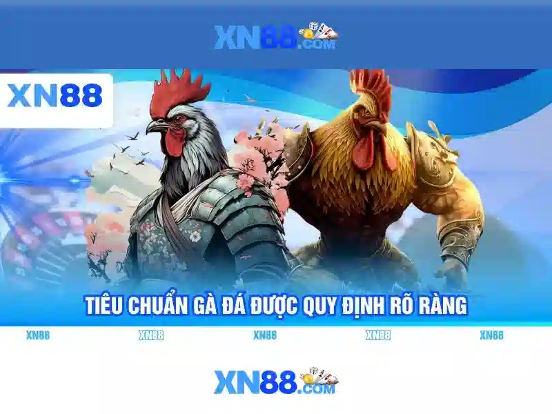 Giới thiệu về xn88
