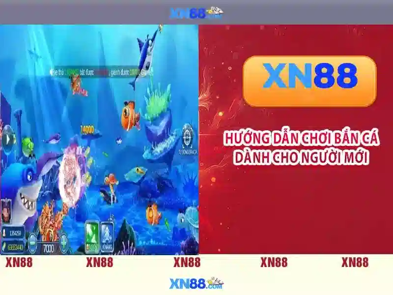 Đặc điểm nổi bật của xn88 Đặc điểm nổi bật của xn88