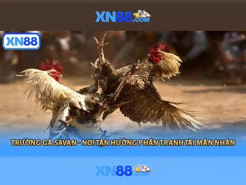 xn88: Nền tảng giải trí trực tuyến và những điều cần biết
