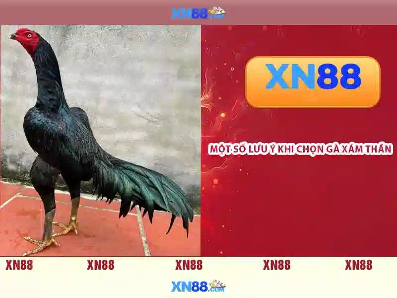 xn88: Nền tảng giải trí và thể thao điện tử