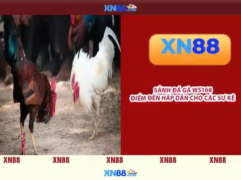 Hỗ trợ người dùng và thanh toán