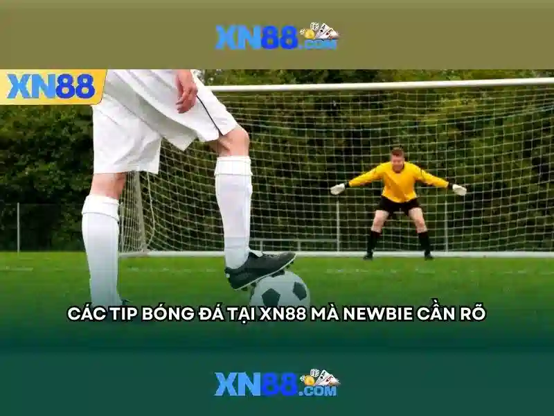 Xn88: Nền tảng giải trí trực tuyến và cộng đồng người chơi