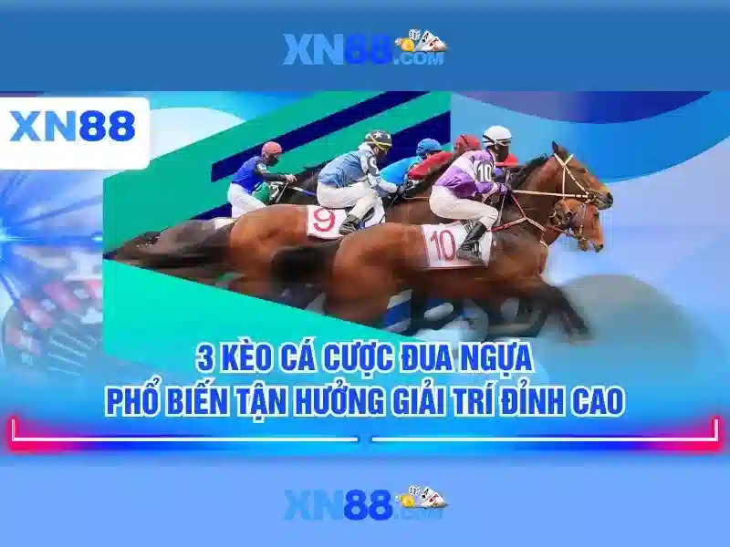 xn88: Tổng quan, tính năng và chơi có trách nhiệm
