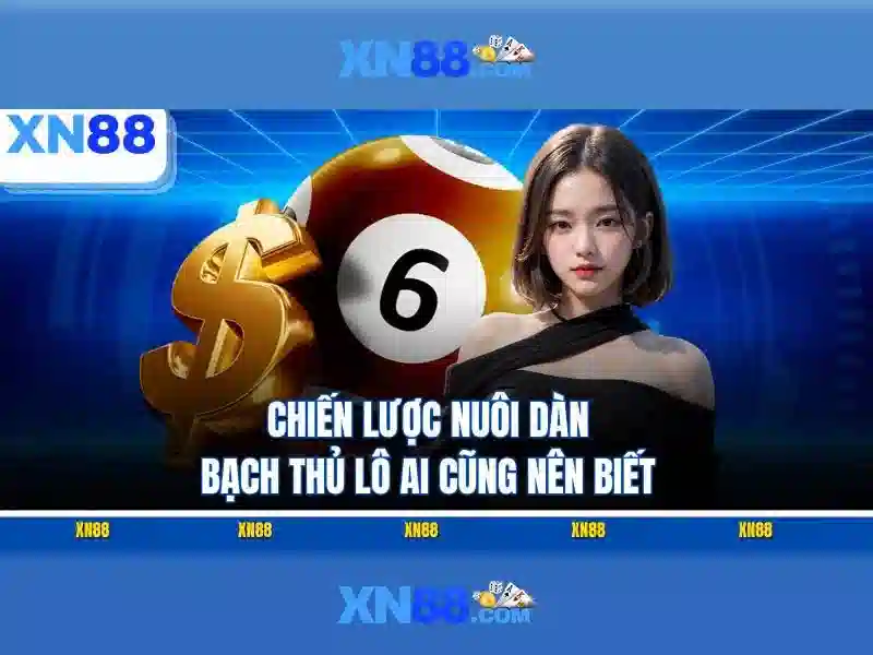 Tương lai của XN88 và cộng đồng Tương lai của XN88 và cộng đồng