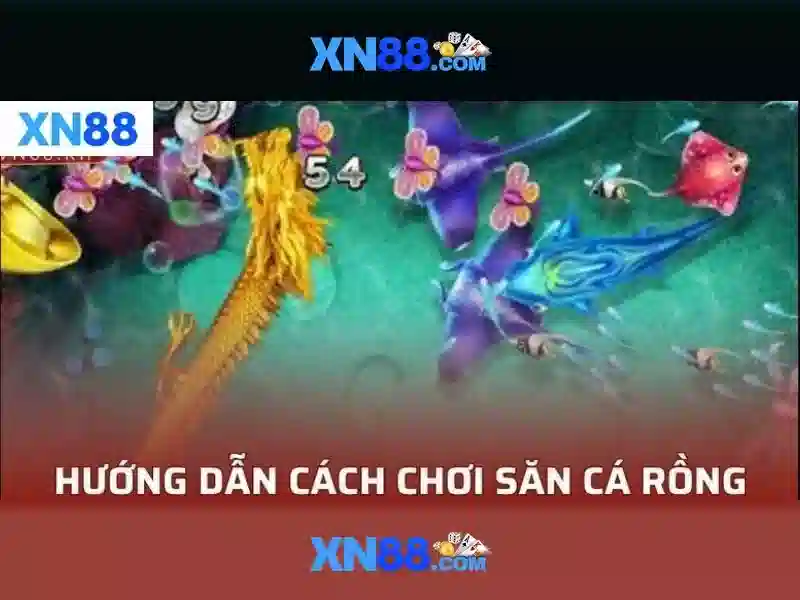Cấu trúc và các dịch vụ của xn88
