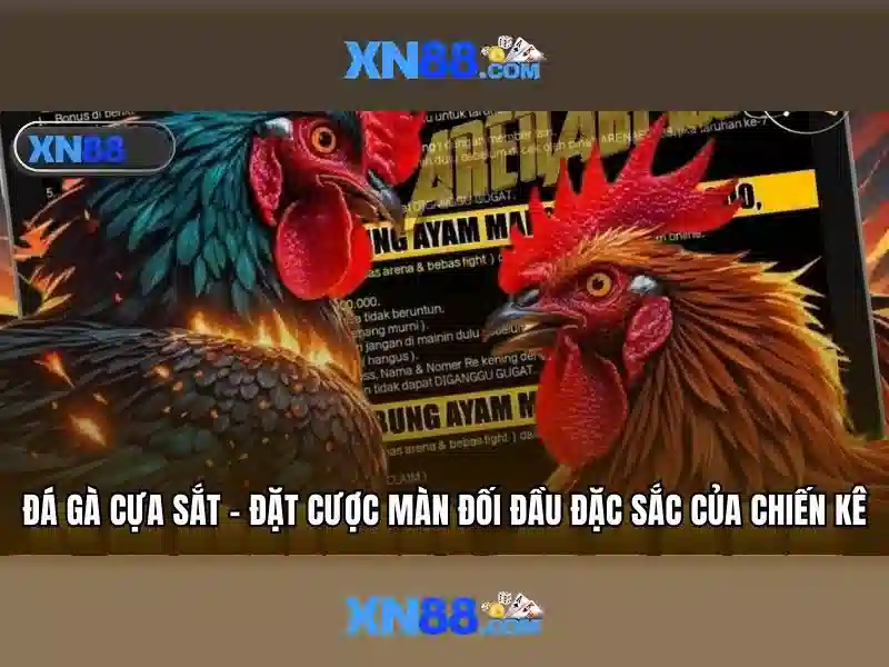 Xn88: Nền tảng giải trí trực tuyến và cá cược