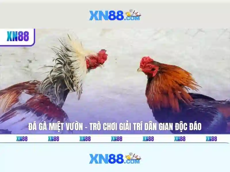 Giới thiệu về xn88