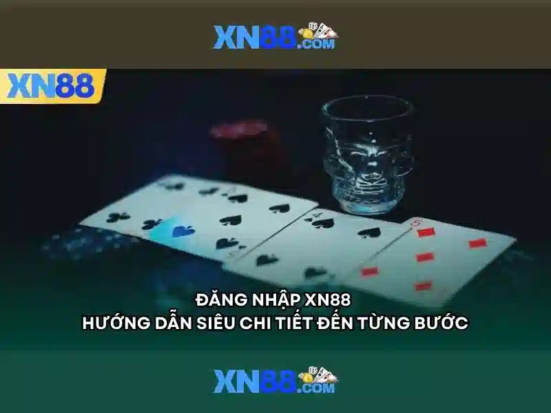 Trải nghiệm người dùng và hỗ trợ
