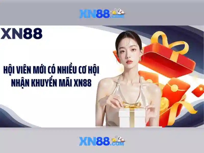 Lịch sử và nền tảng