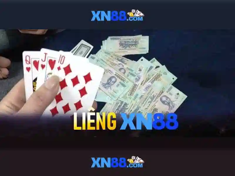 Hướng dẫn sử dụng căn bản Hướng dẫn sử dụng căn bản