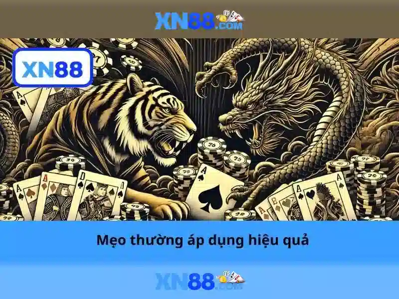Tổng quan về xn88 Tổng quan về xn88