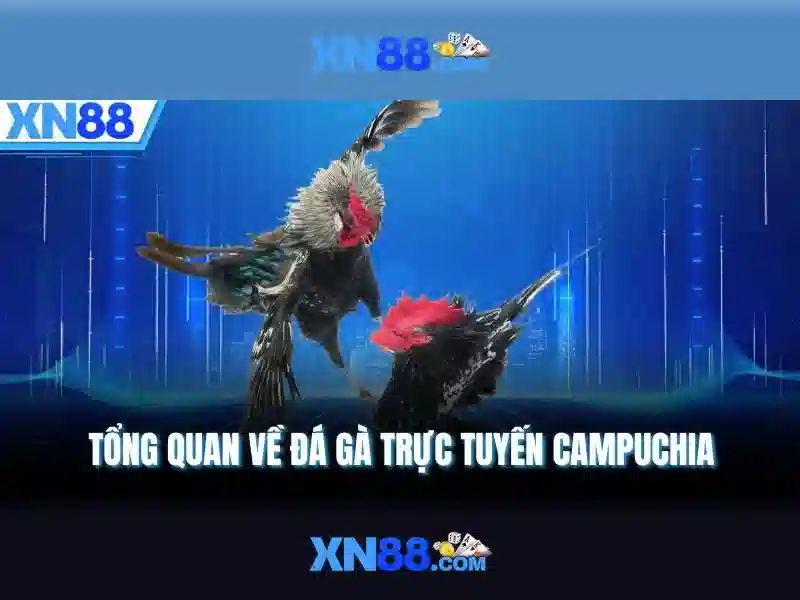 xn88: Nền tảng trò chơi trực tuyến uy tín và giải trí