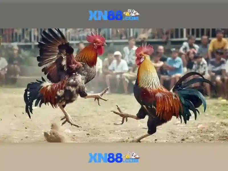 xn88: Tổng quan về nền tảng game trực tuyến