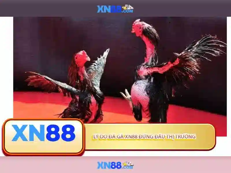 Giao diện trang chủ rút tiền XN88 chuyên nghiệp Giao diện trang chủ rút tiền XN88 chuyên nghiệp