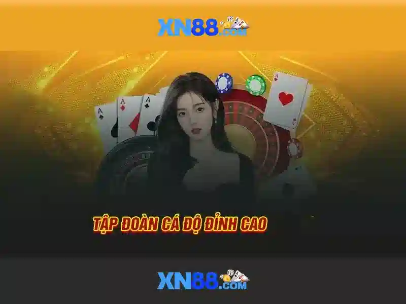 xn88 - Giới thiệu và hướng dẫn sử dụng