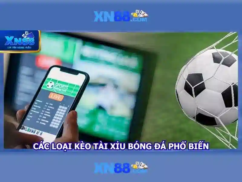 Giới thiệu về xn88