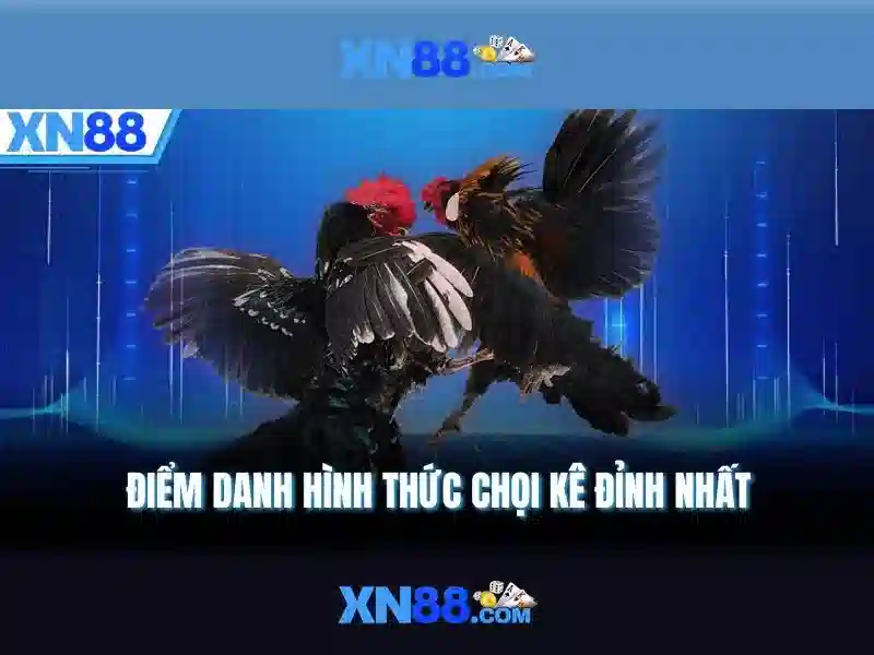 xn88: một nền tảng giải trí trực tuyến