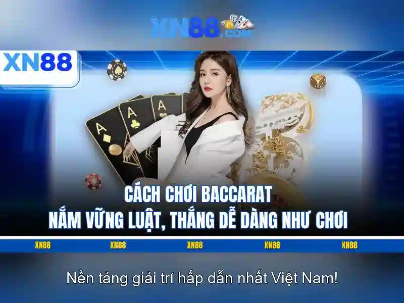 xn88 - Nền tảng cược trực tuyến và trải nghiệm người dùng