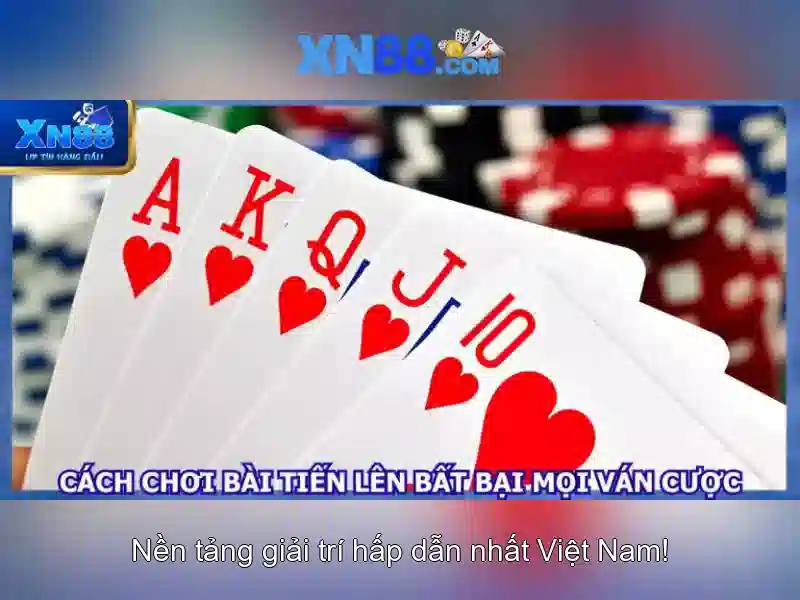 xn88: một nền tảng công nghệ và cộng đồng
