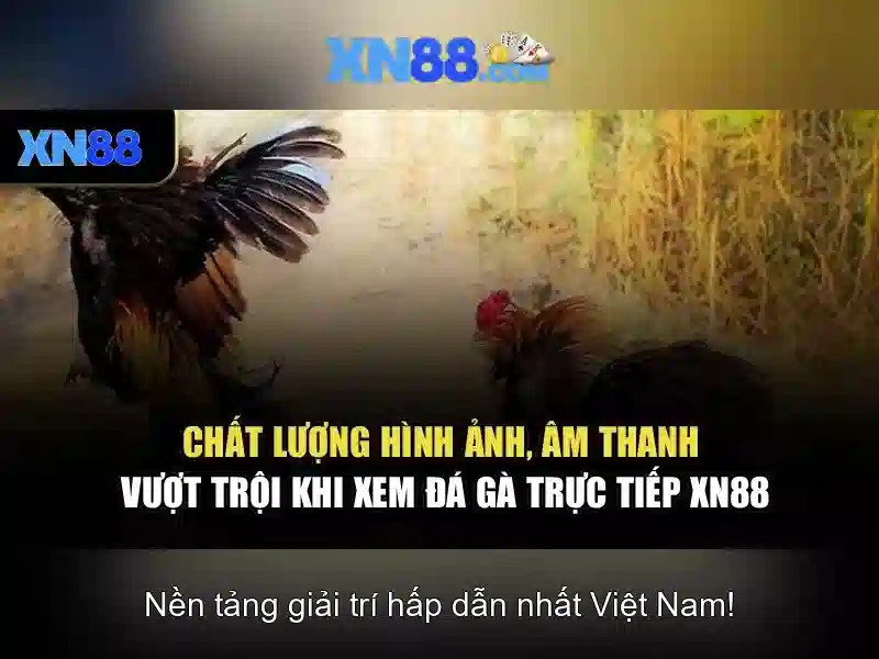 Chính sách thanh toán và bảo mật