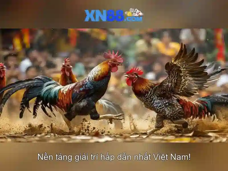 Độ tin cậy, khiếu nại và hỗ trợ khách hàng