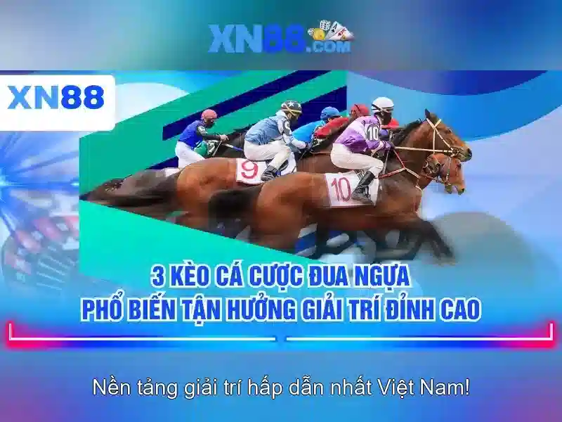 Các sản phẩm và tính năng