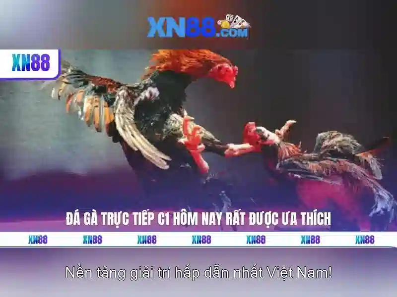 XN88: Đánh giá nền tảng trò chơi trực tuyến và các điểm nổi bật