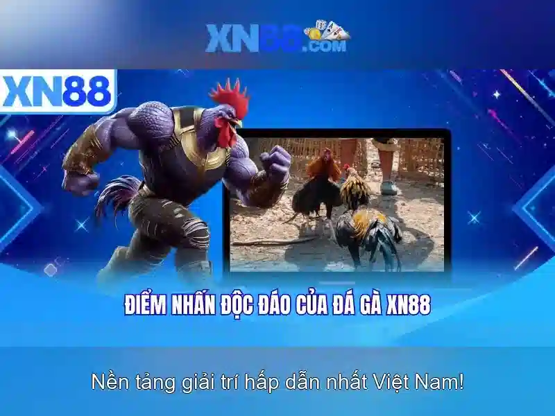 xn88: Giới thiệu và tầm ảnh hưởng