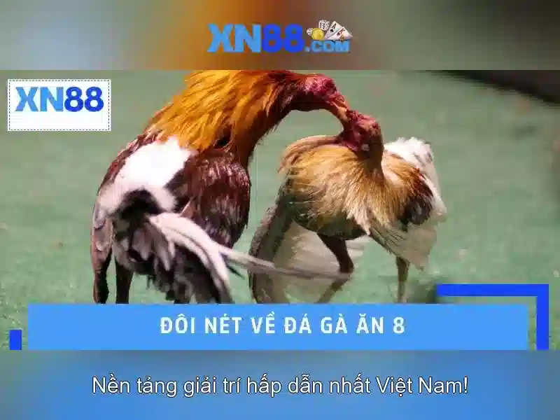 Biểu mẫu đăng ký đại lý XN88 trên giao diện mobile và máy tính Biểu mẫu đăng ký đại lý XN88 trên giao diện mobile và máy tính