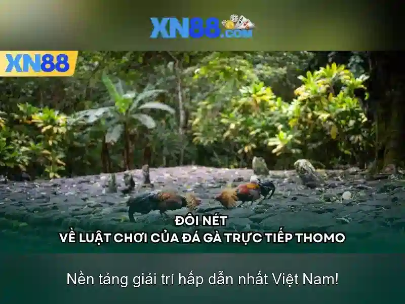Trải nghiệm người dùng