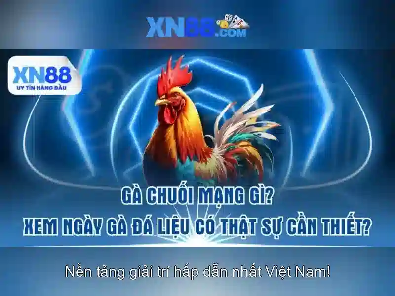 An toàn và bảo mật cho người chơi An toàn và bảo mật cho người chơi
