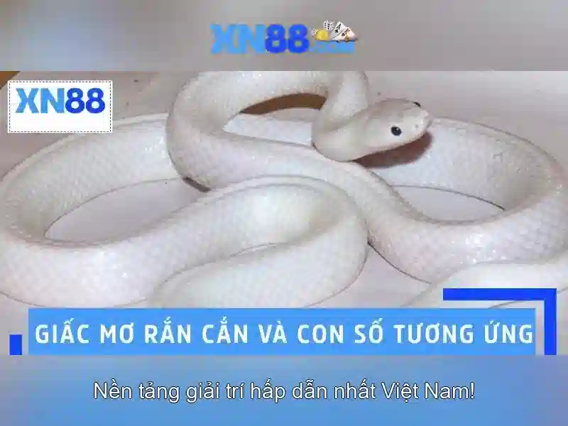 XN88: Nền tảng trò chơi trực tuyến và cộng đồng người chơi