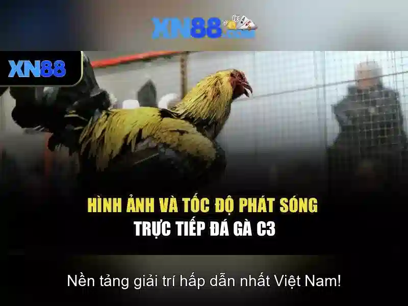 Mẹo chơi bắn cá 3 cây dễ ăn tiền nhà cái