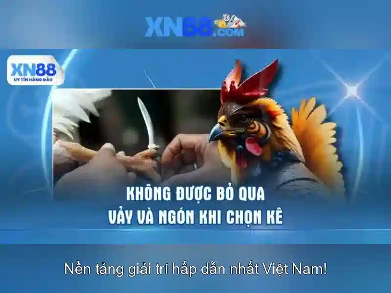 Mẹo chơi bắn cá 3 cây dễ ăn tiền nhà cái