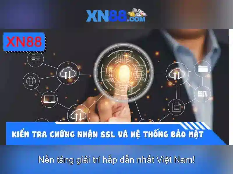 xn88 là gì