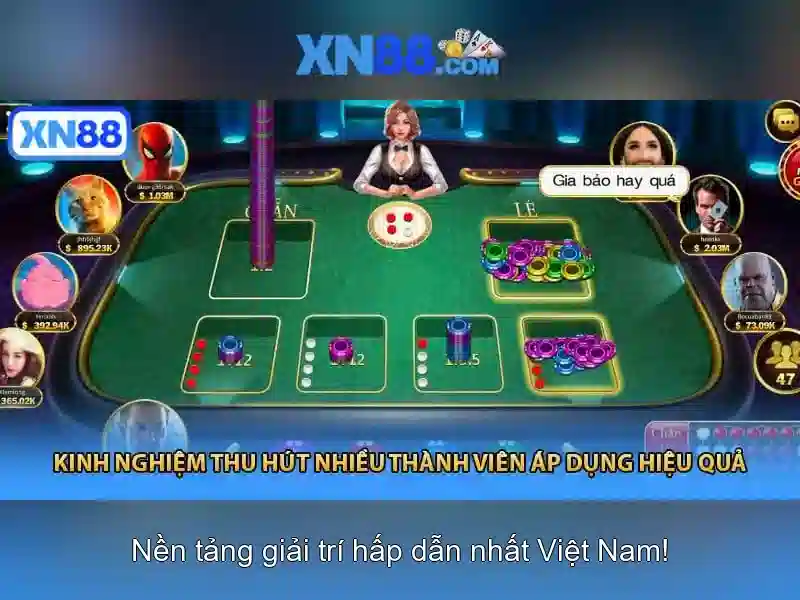 Giới thiệu về xn88