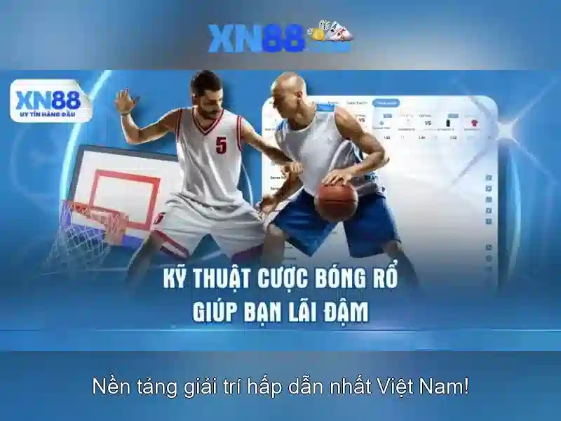 Định vị và loại hình trò chơi Định vị và loại hình trò chơi