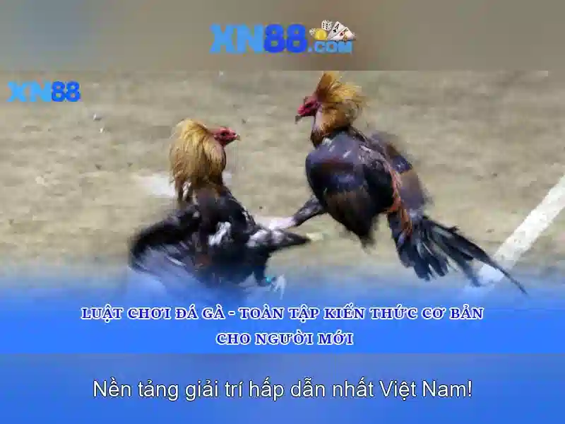 Mẹo chơi bắn cá 3 cây dễ ăn tiền nhà cái