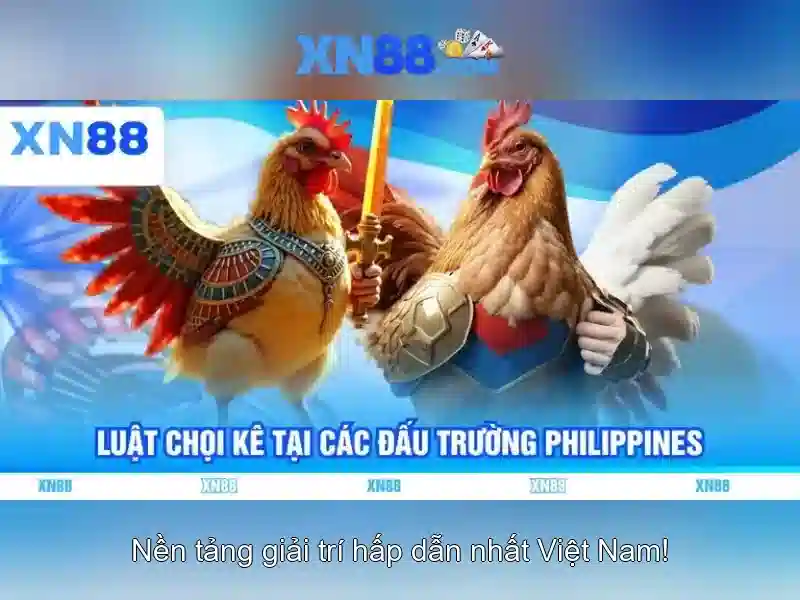 Các tính năng chính và ưu điểm