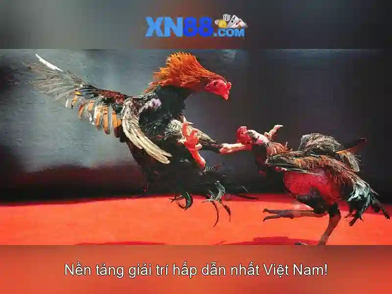 xn88 — Nền tảng giải trí trực tuyến và đánh giá tổng quan