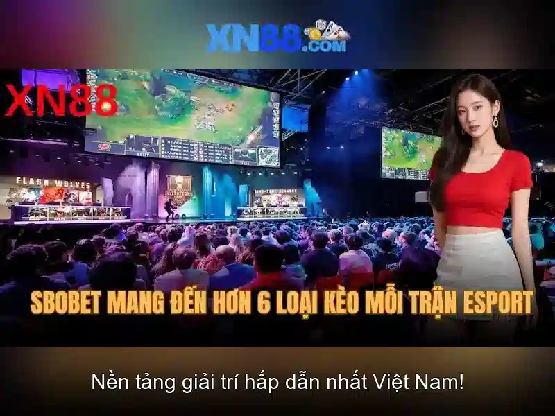 Cac quy dinh tu choi trach nhiem